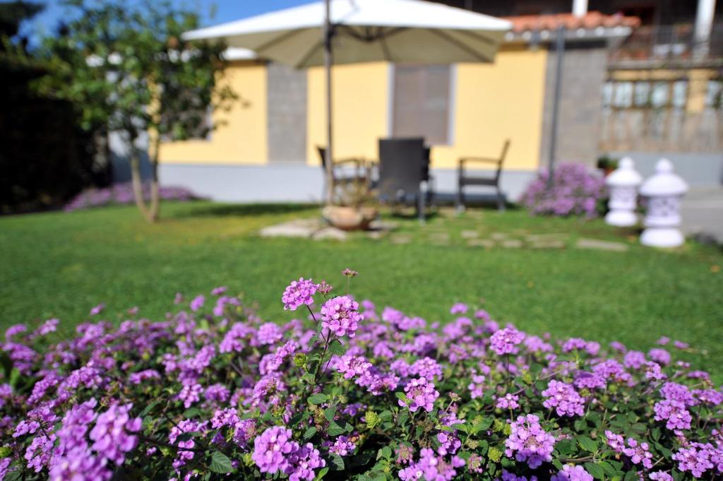 Wellness Experiences